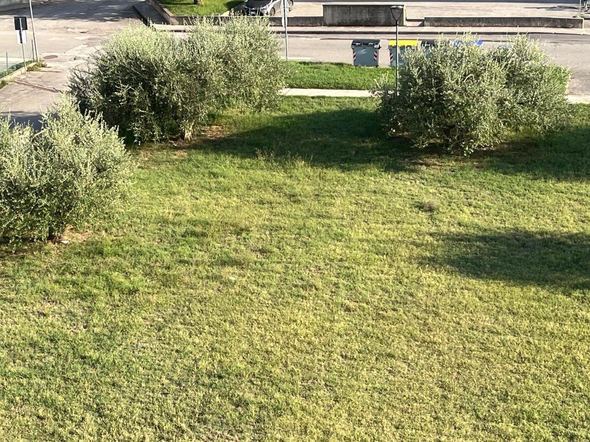 Casa Ivana Castiglione del Lago Eksteriør billede